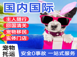 乌兰浩特义勒力特航空快运国际宠物托运 【国